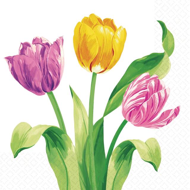 Serviettes de table Tulipes du printemps, paq. 16 Front_Flat