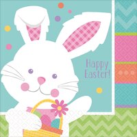 Hippity Hop Easter Bunny Lunch Napkins, 16-pk Front_Flat