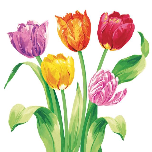 Serviettes de table à motif de tulipes du printemps, paq. 16 Front_Flat