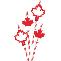 Pailles en papier feuille d'érable canadienne, paq. de 12 Front_Flat