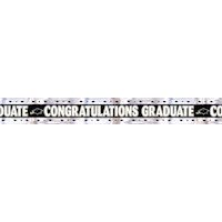 Black, Gold & Silver Foil Graduation Banner Front_Flat