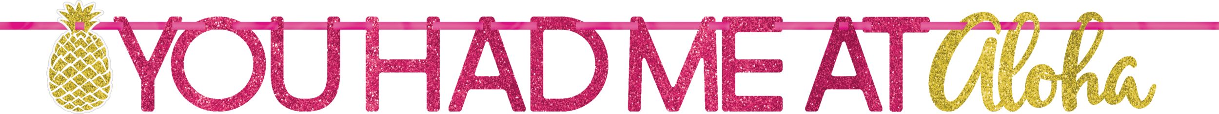"You Had Me at Aloha" Hanging Garland Banner Decoration, Pink/Gold, 12-ft, for Summer Party Front_Flat