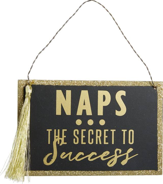 Mini Secret to Success Sign Front_Flat