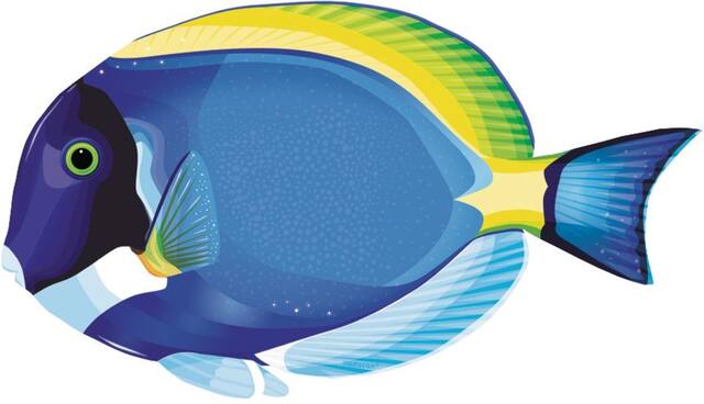 Découpes vie sous-marine, paq. 30 Front_Flat