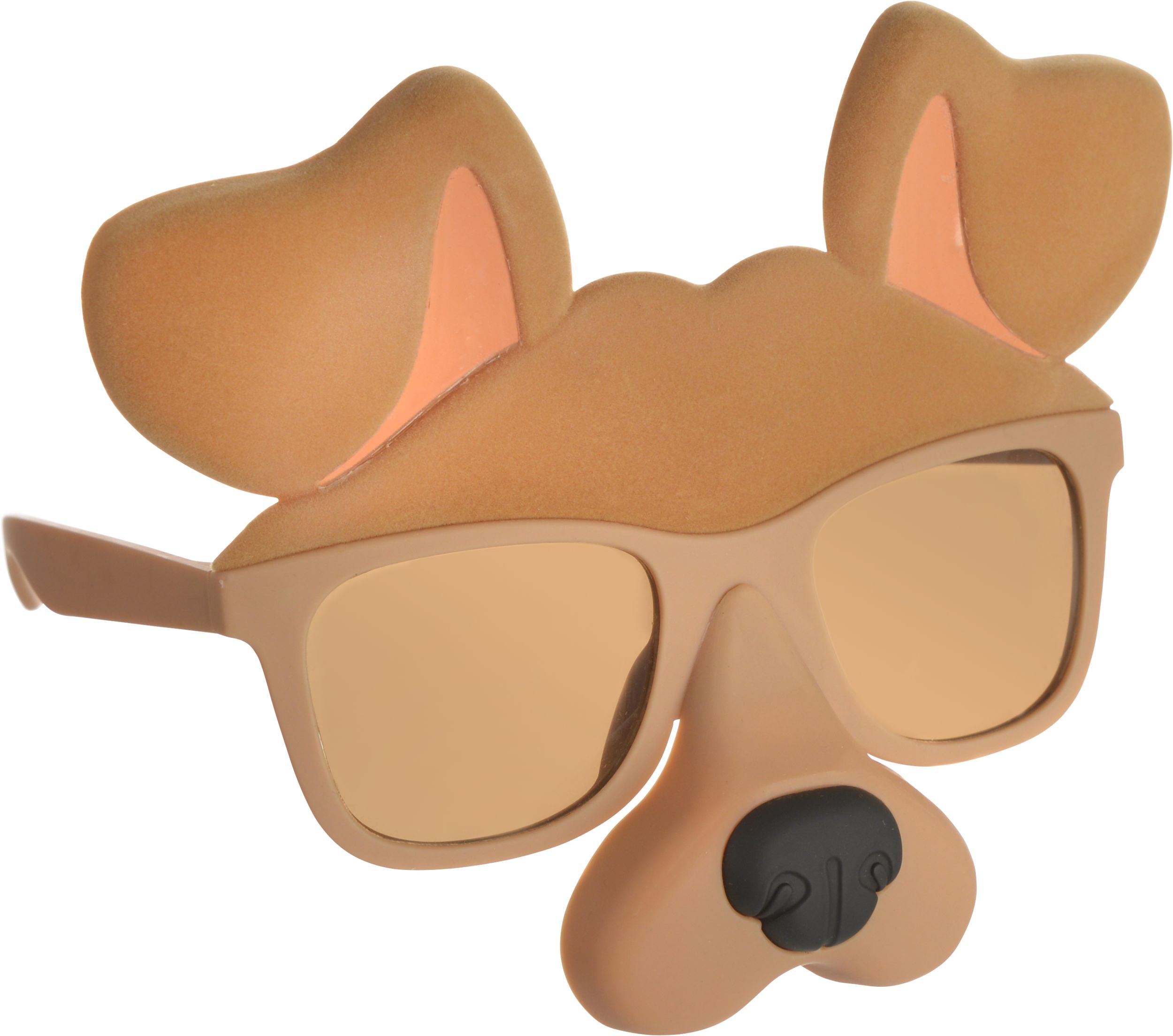 Dog Filter Sunglasses Front_Angled_Right