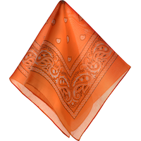 Bandana carré à motif cachemire, choix de couleurs, 20 po, accessoire de costume à porter pour l'Halloween