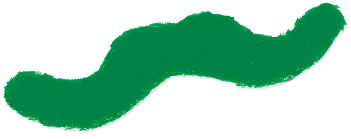 Facial Hair Moustache, Green, for St. Patrick's Day Front_Flat