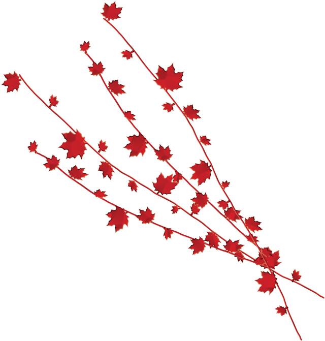 Maple Leaf Metallic Tinsel Spray Burst Centrepiece Table Decoration, Red, 18-in, for Canada Day Composite_or_Mixed