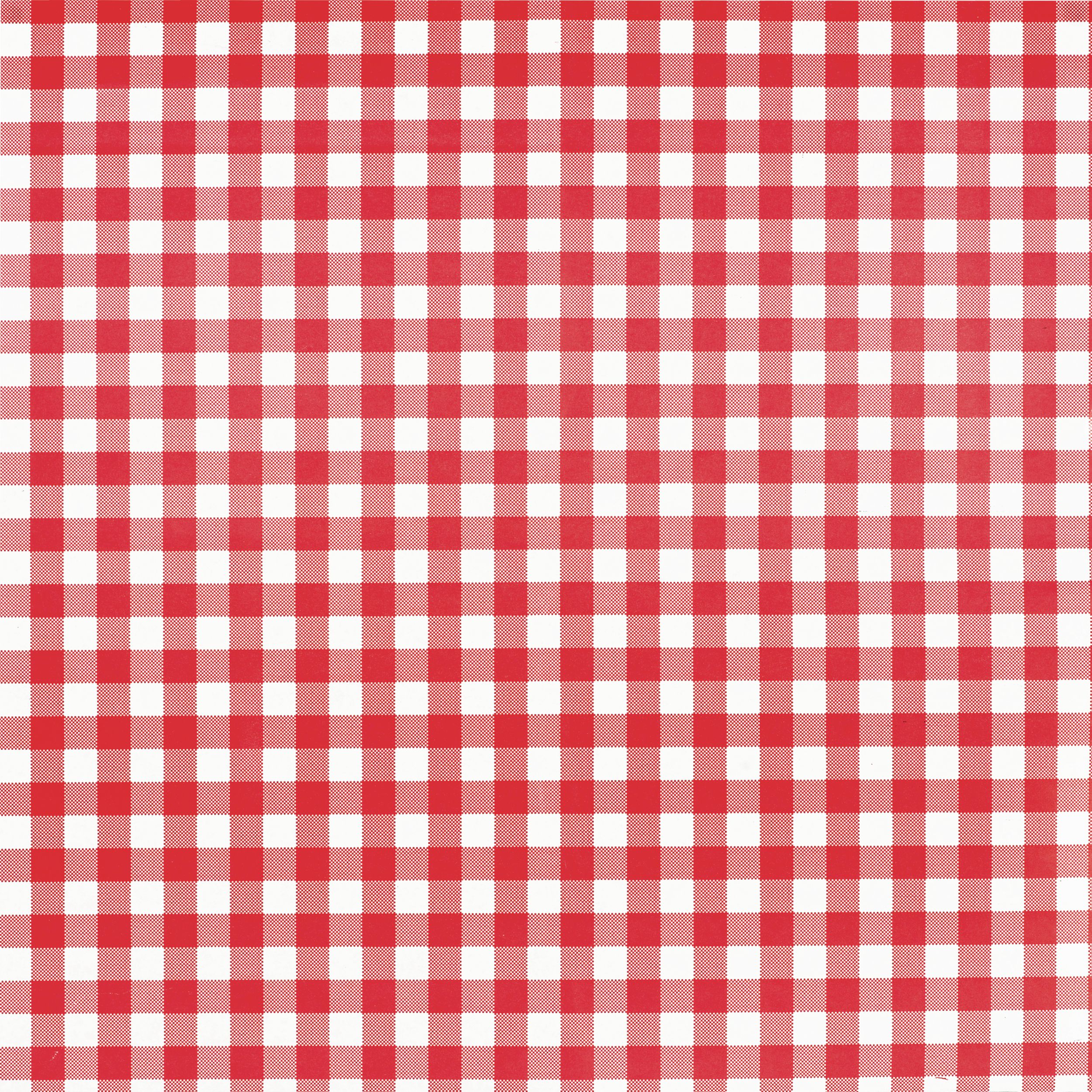 Picnic Party Red Gingham Paper Basket Liners, 18-pk Front_Flat