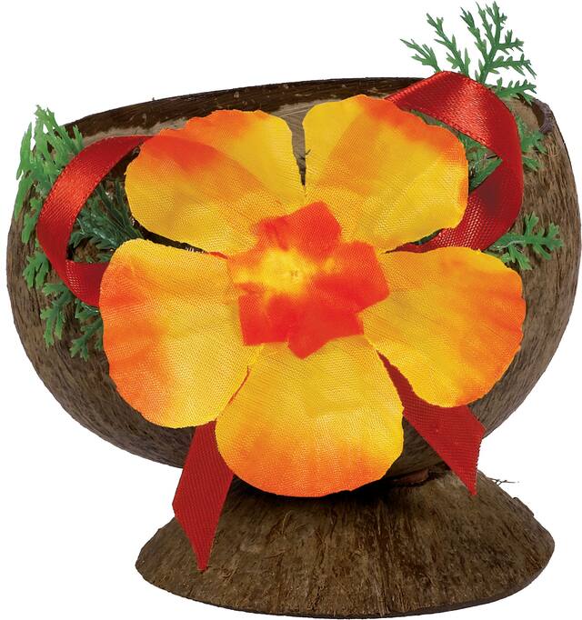 Tasse noix de coco Hibiscus Front_Elevated