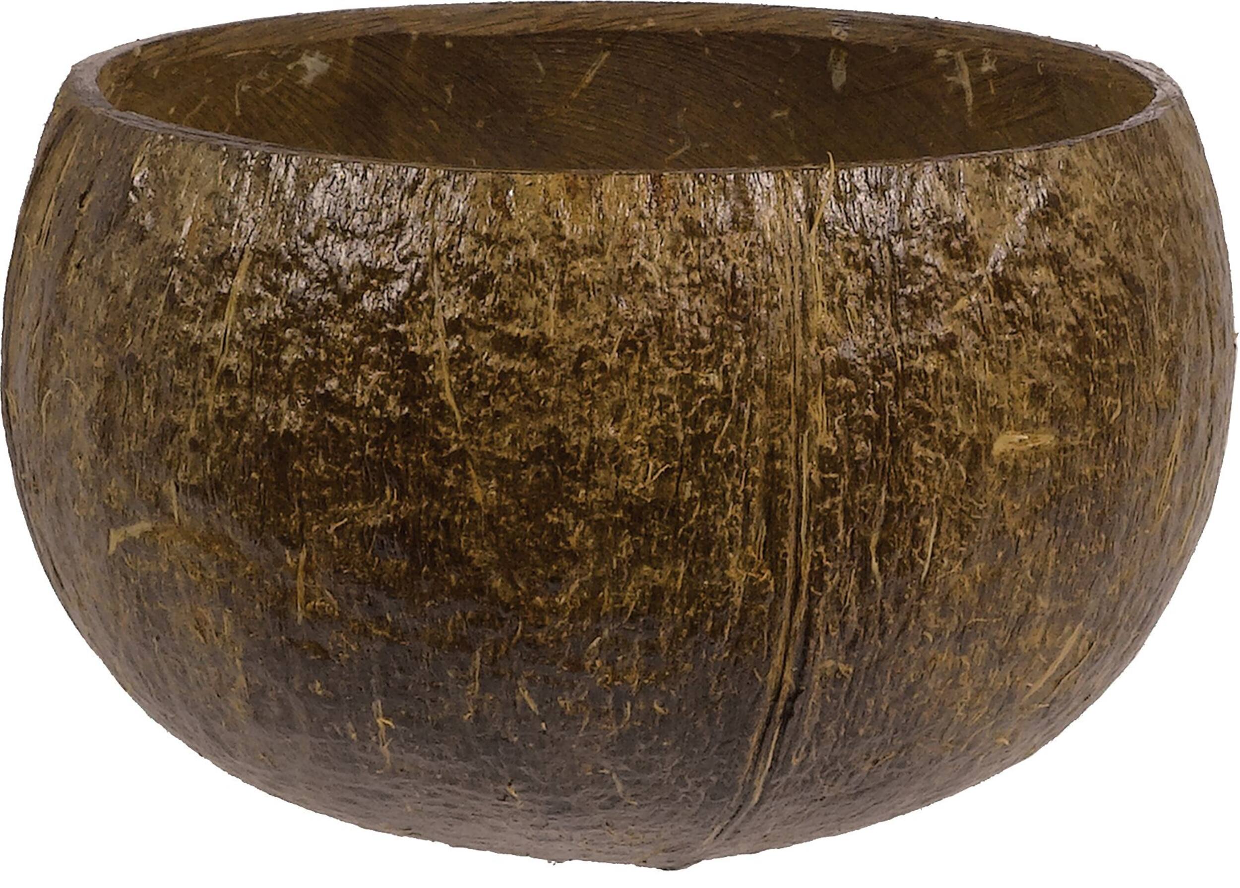 Coconut Shell Plastic Reusable Cup, Brown, 23-oz, for Summer Party Front_Elevated