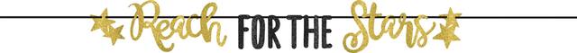 Banderole à lettres étincelante Reach For The Stars Front_Flat