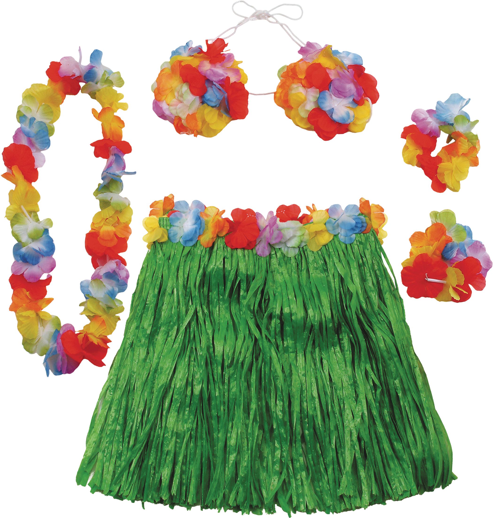 Adult Plastic Grass Hula Kit with Skirt, Bra, Wristlets & Lei, Green/Multi-Coloured, XL, 5-pk, for Summer Party Front_Flat