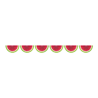 Hello Summer Watermelon Bunting Garland Front_Flat