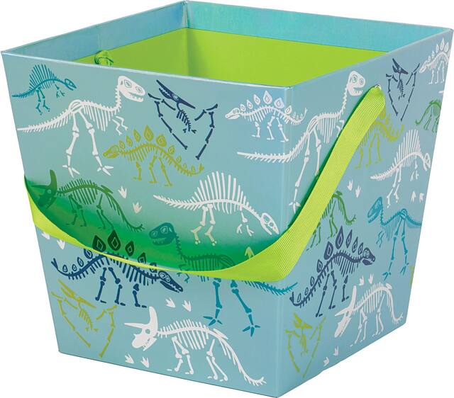 Panier fossiles de dinosaures irisés Front_Angled_Left