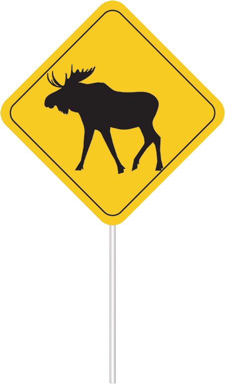 "Oh Canada" Plastic Scene Setter Background Decoration with Photo Booth Props, Multi-Coloured, 65-in, 15-pk, for Canada Day Front_Flat