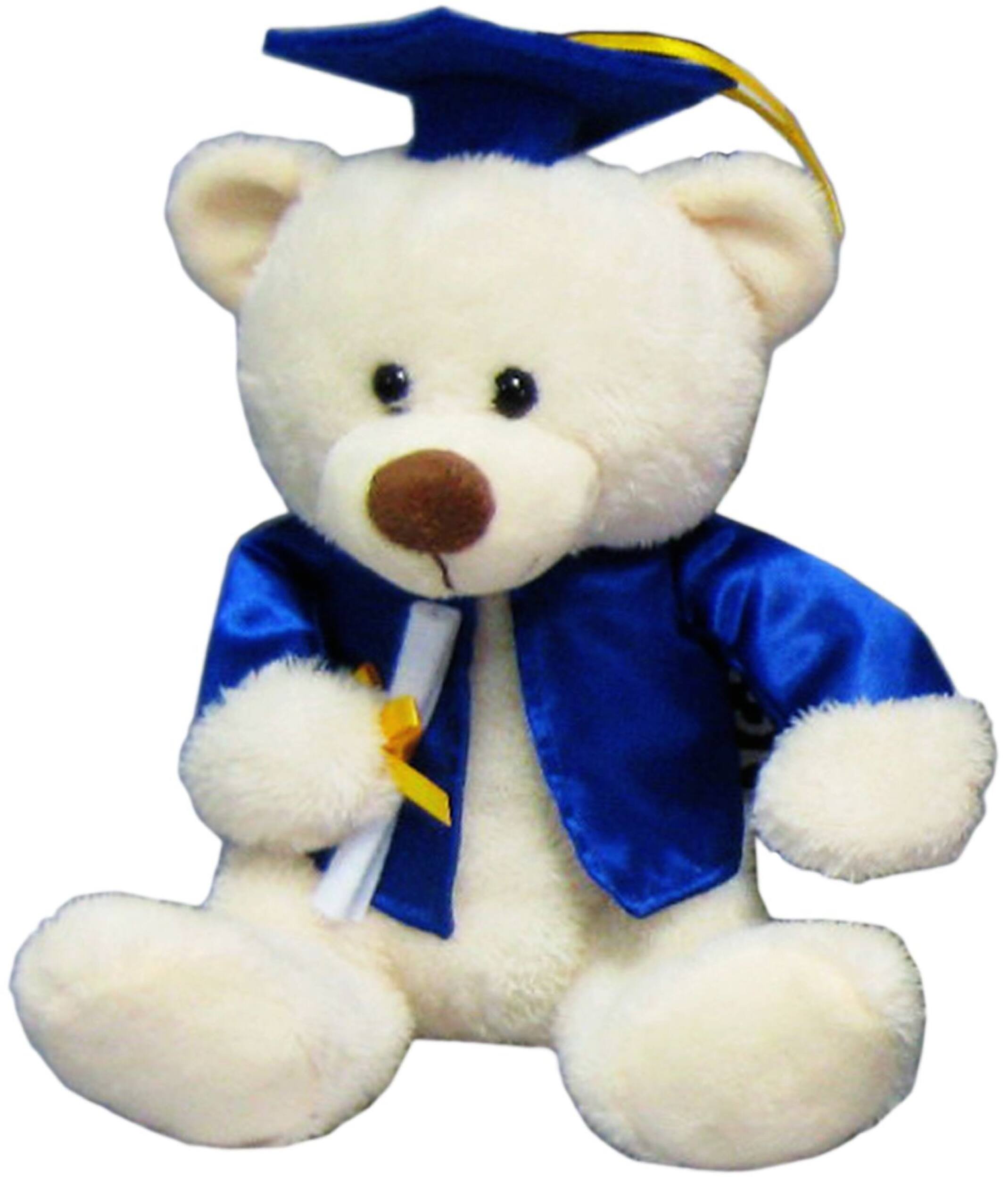 Teddy Bear Grad Cap & Diploma Plush Toy, Blue/White, for Graduation Front_Angled_Left