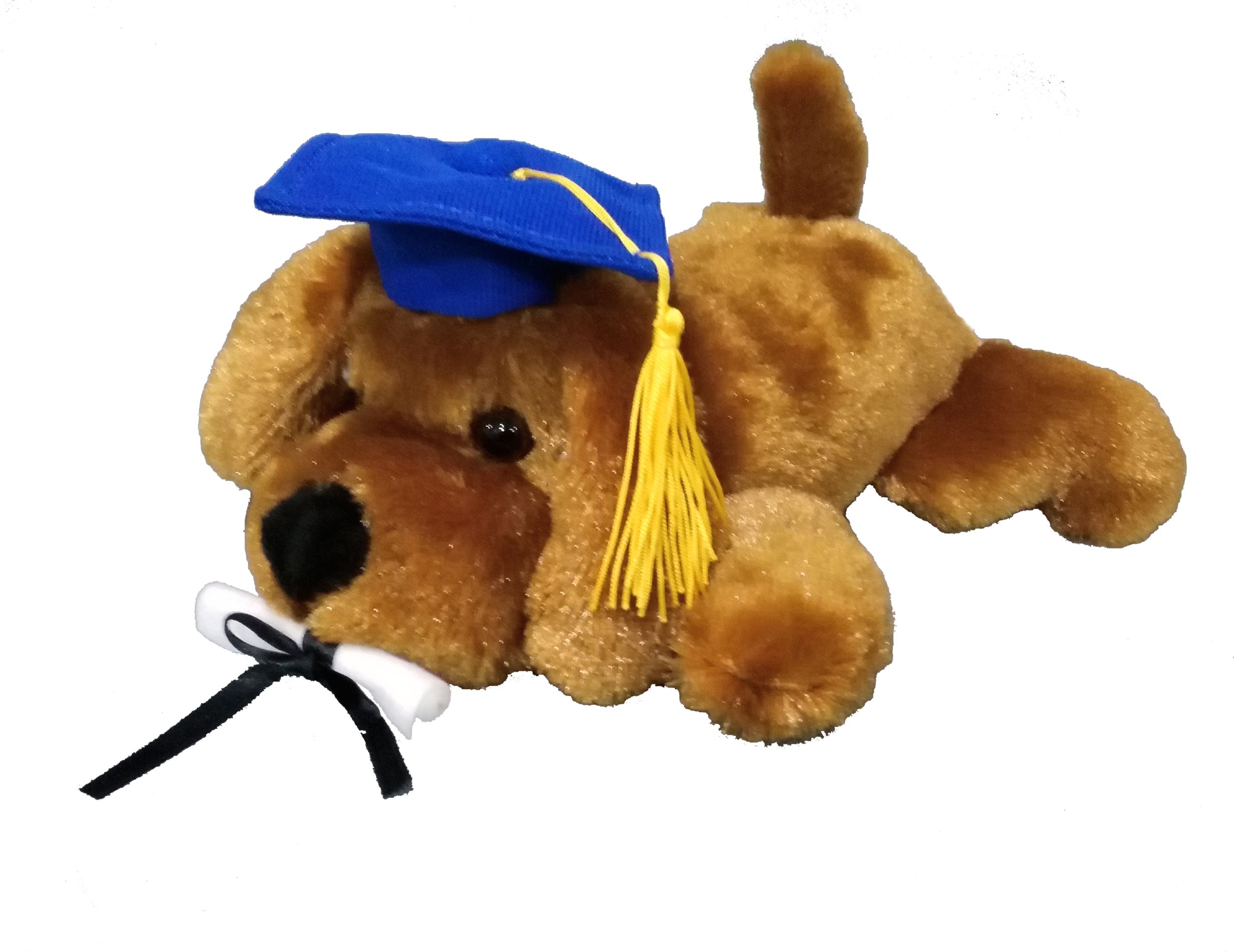 graduation puppy plush