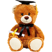 Ours en peluche du diplômé brun Front_Flat