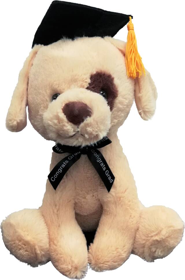 Dog Grad Cap Plush Toy, Brown/Black, for Graduation Front_Flat
