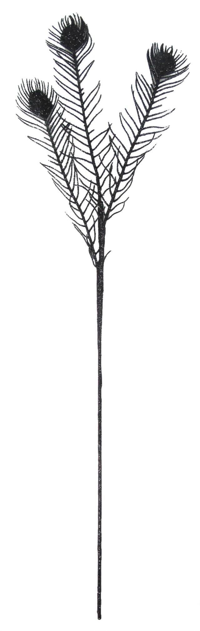 Multi-Stem Black Feather Front_Flat