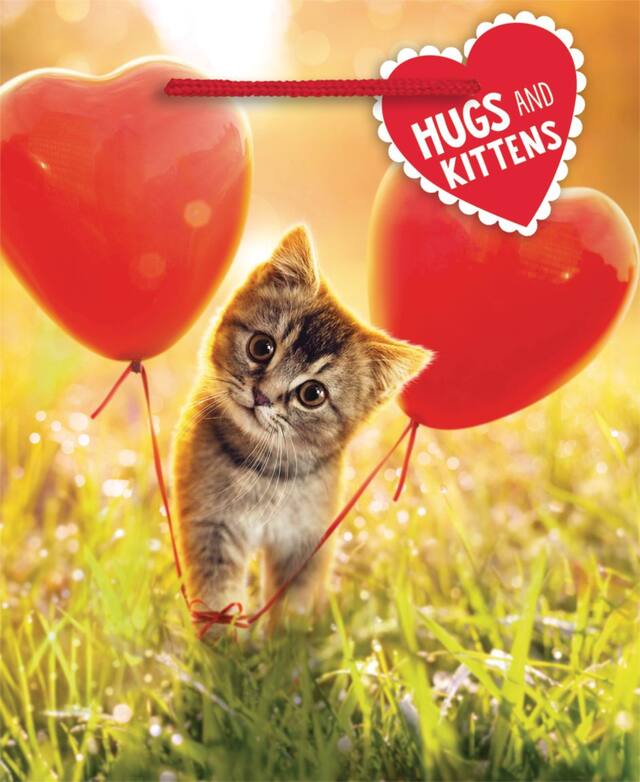 Mini Valentine's Day Animal Sweethearts Gift Bags, 7-pk Front_Flat