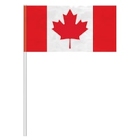 Maple Leaf Large Plastic Flag Decoration, Red/White, 10-in, for Canada Day Front_Flat