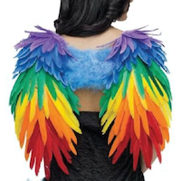 Rainbow Feather Wings, Multi-Coloured, One Size, for Pride Back_Flat
