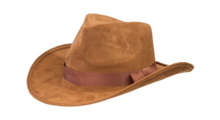 A brown cowboy hat.