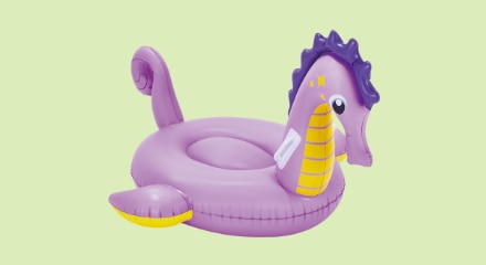 A seahorse-shaped pool floatie.